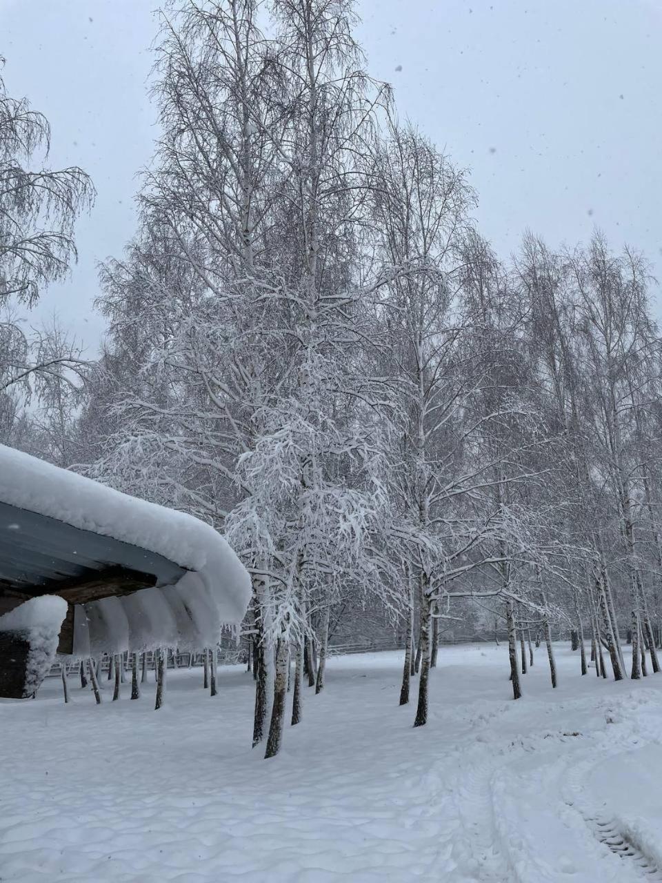 Садиба Бабина Лоза Lisove  Exterior foto